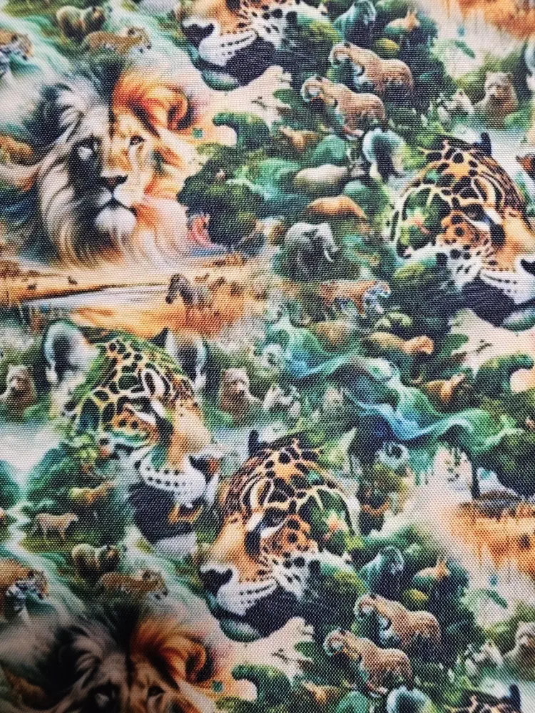 Kočárkovina Afrika