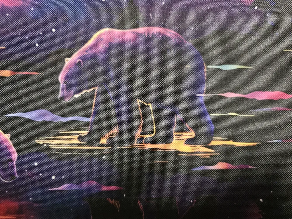 Kočárkovina polární záře