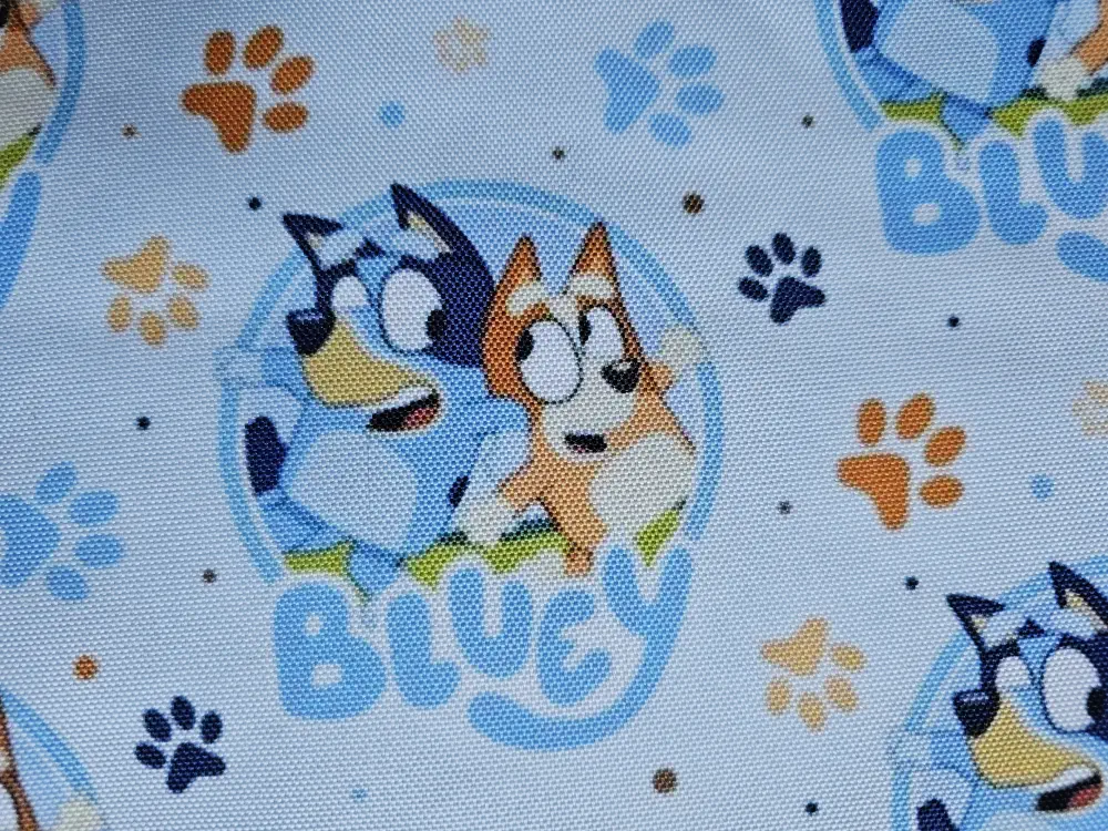 Kočárkovina Bluey