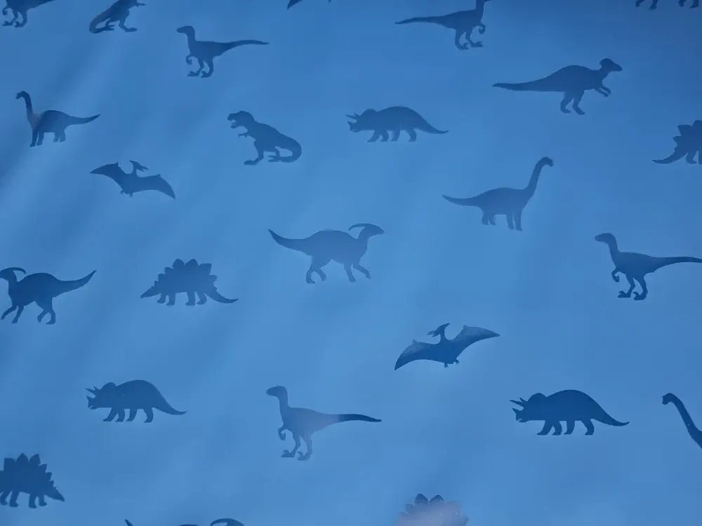 Dinosauři - pláštěnkovina