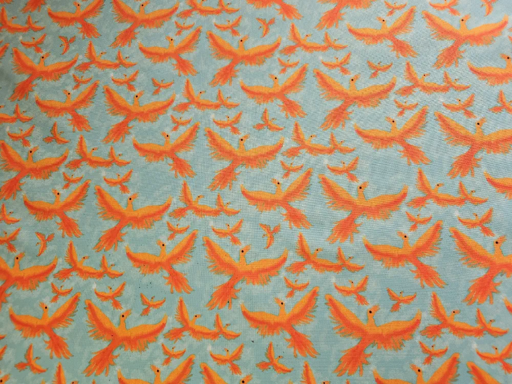 Kočárkovina Fénix