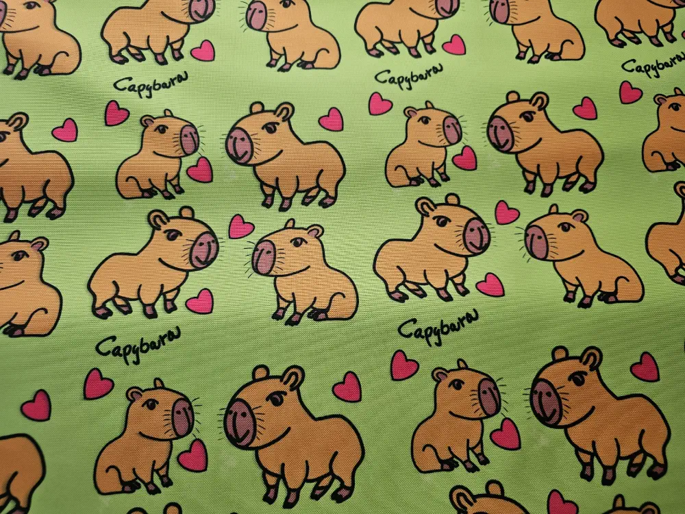 Kočárkovina zamilované Kapybary