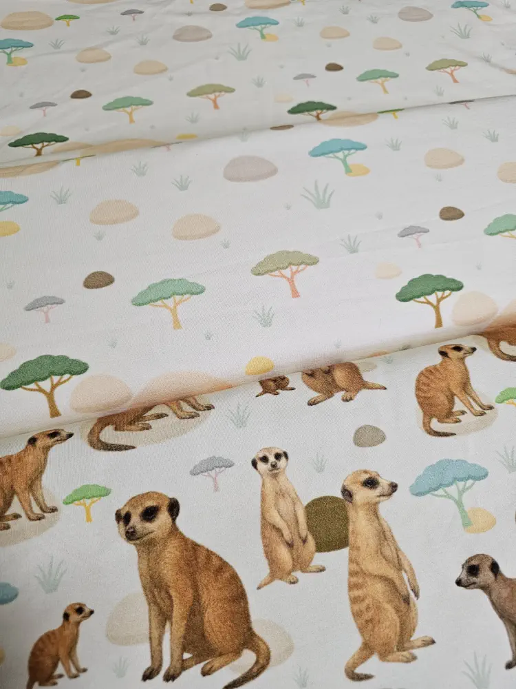 Surikaty savana - objednávka