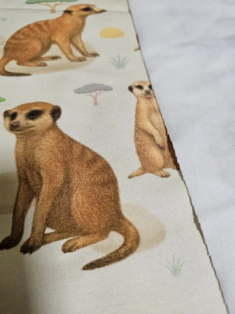 Surikaty savana - objednávka