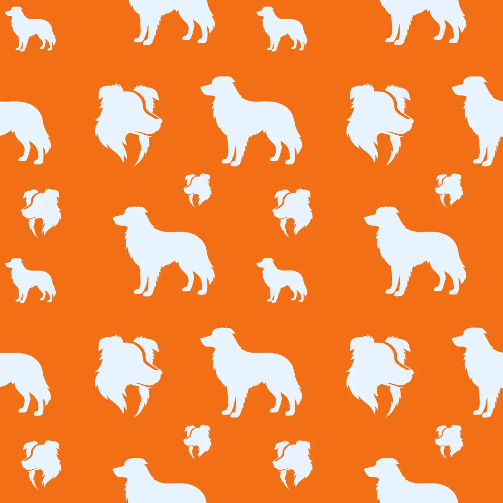 Borderky - siluety růžova