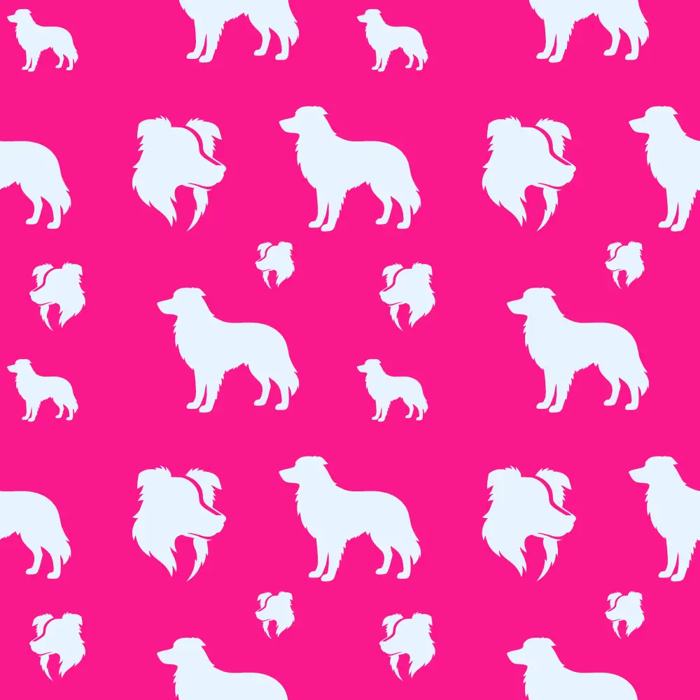 Borderky - siluety modra