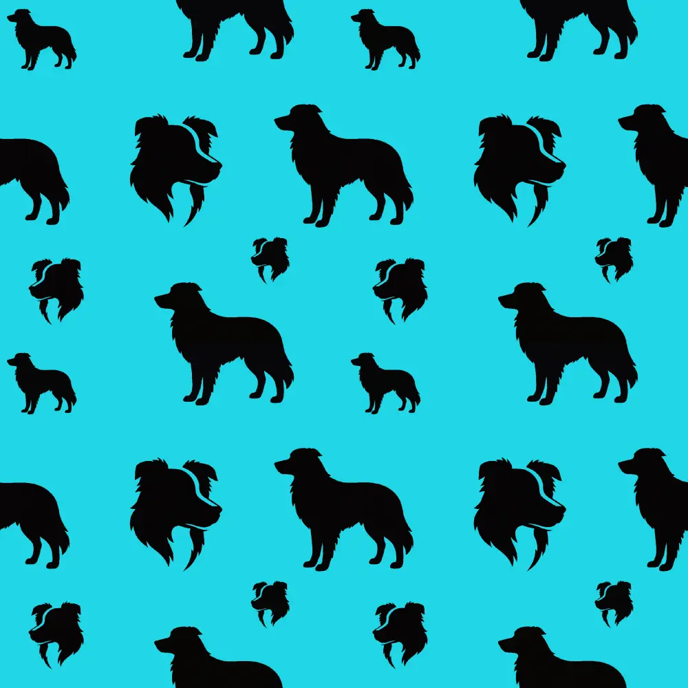 Borderky - siluety oranžová