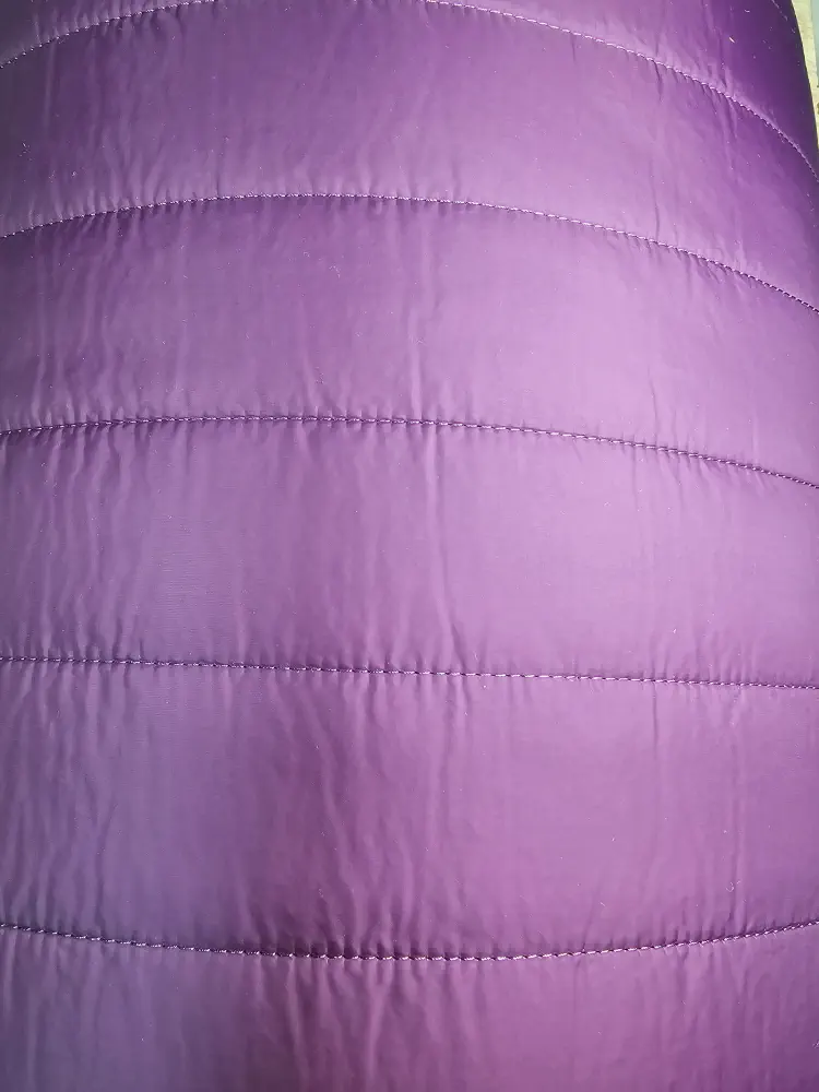 Prošev s beránkem fialový