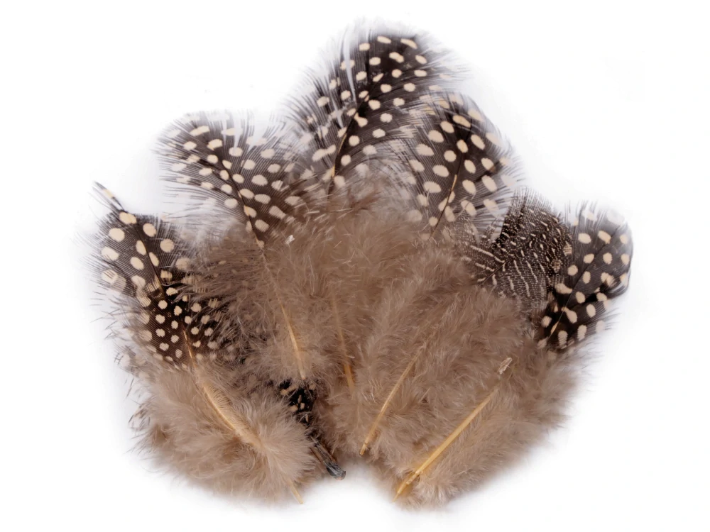 Peříčka slepičí