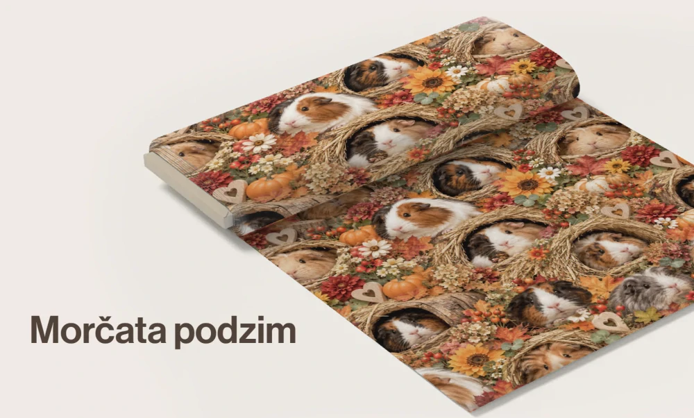 Morčata podzim