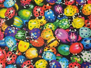 Kočárkovina berušky