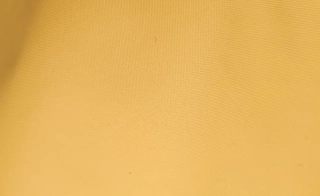 Kočárkovina hořčicová