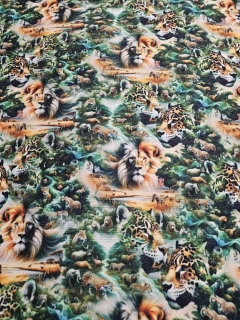 Kočárkovina Afrika