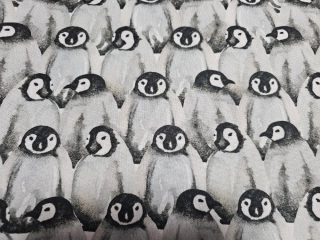 Kočárkovina tučňáci