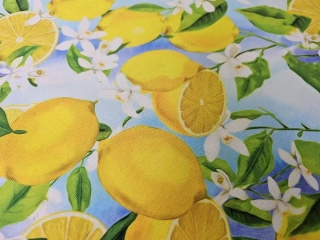 Kočárkovina citrónky