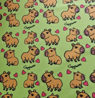 Kočárkovina zamilované Kapybary