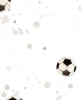 Fotbalivý míč- vzor