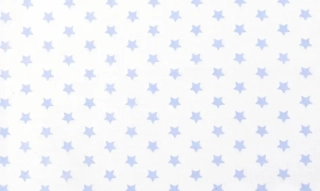 Plátno - modré hvězdičky na bílé