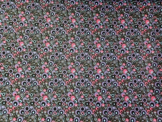 Kočárkovina fialová kolečka