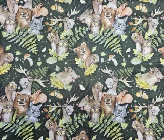 Kočárkovina bláznivá zvířátka v lese